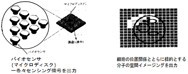 図1.細胞間通信伝達分子のリアルタイムイメージングシステムの概要図